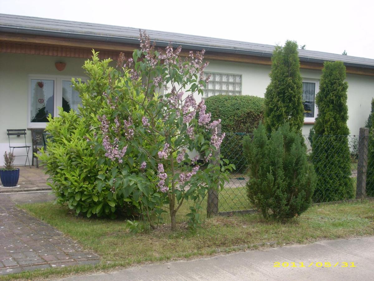 Ferienhaus Am Neuklostersee Ngoại thất bức ảnh
