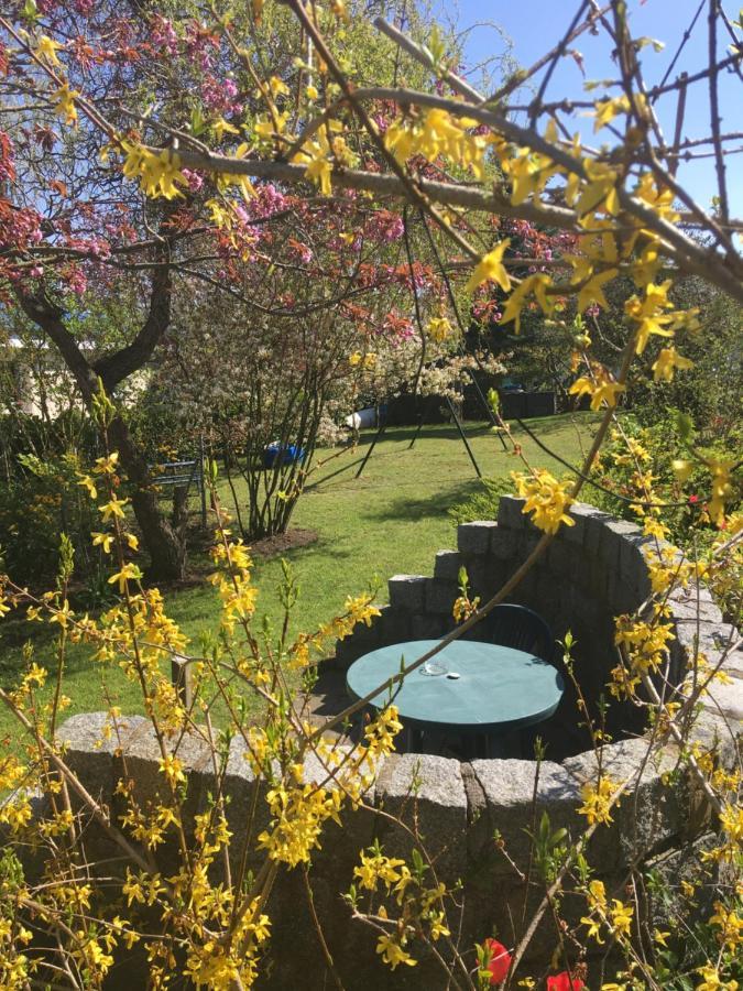 Ferienhaus Am Neuklostersee Ngoại thất bức ảnh